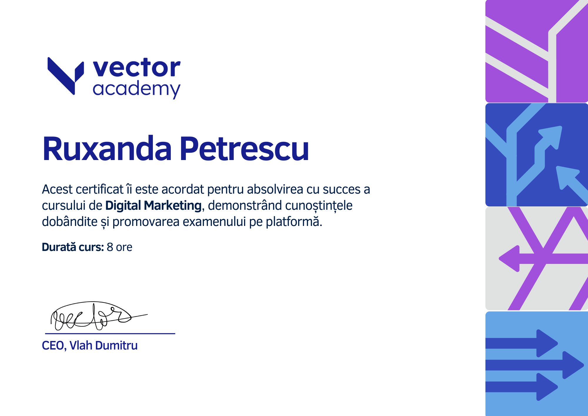 Vector Academy Certificate