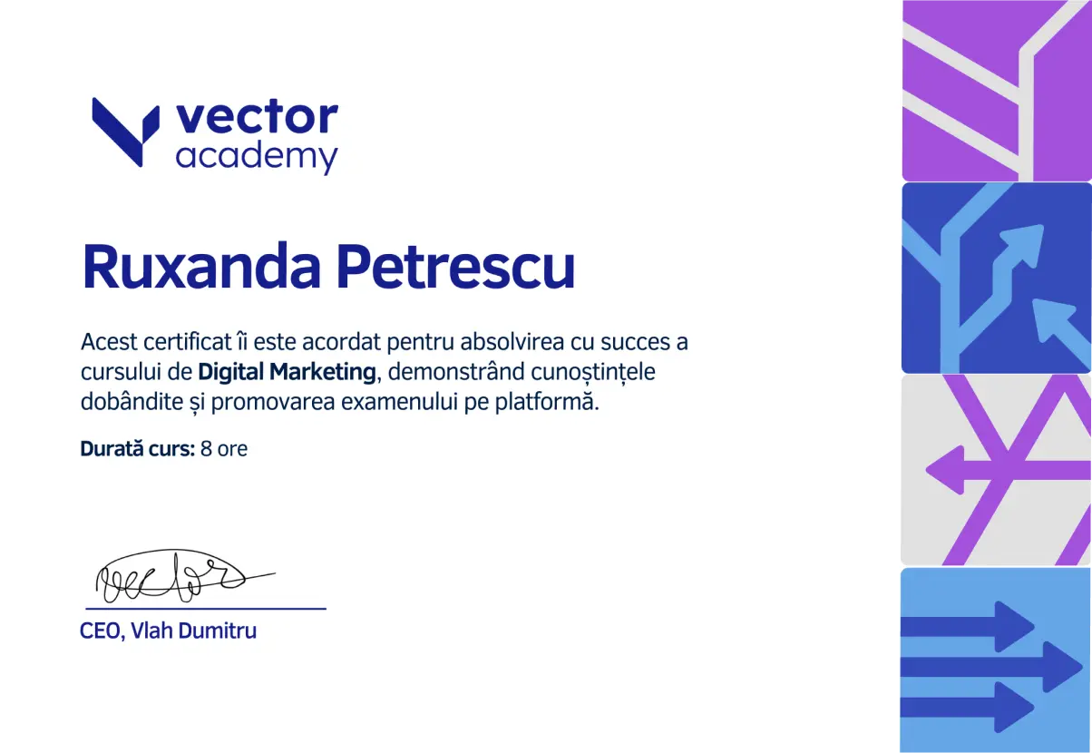 Certificat Vector Academy