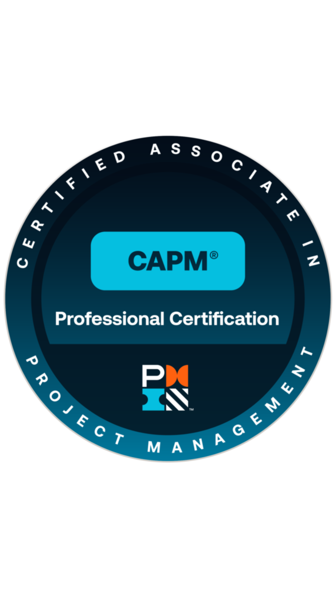 Certificare în Project Management (CAPM) cover