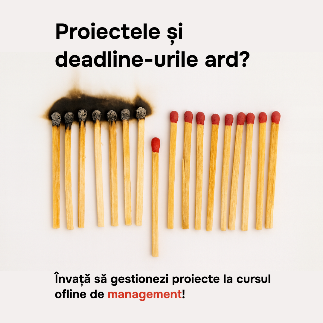 Curs de Project Management Offline cover